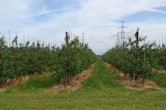 RuytersHoveTocht 2019