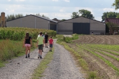Stoomtuig-Wandeling 2019