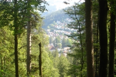 2019 Zwarte Woud Dag 3 Triberg