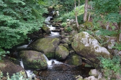 2019 Zwarte Woud Dag 3 Triberg