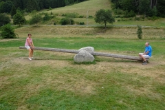 2019 Zwarte Woud Dag 3 Triberg