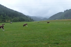 2019 Zwarte Woud Dag 4 Titisee