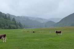 2019 Zwarte Woud Dag 4 Titisee