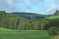 2019 Zwarte Woud Dag 5 Eisenbach