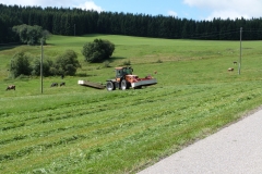 2019 Zwarte Woud Dag 5 Eisenbach