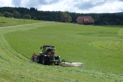 2019 Zwarte Woud Dag 5 Eisenbach