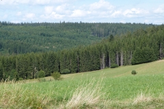 2019 Zwarte Woud Dag 5 Eisenbach