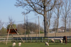 Godelievetocht 2025